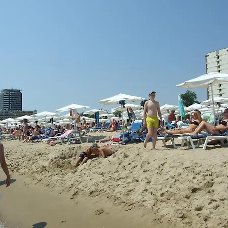 דירה Sunny Avalon *