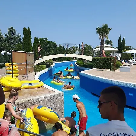 Sunny Avalon * סאני ביץ'