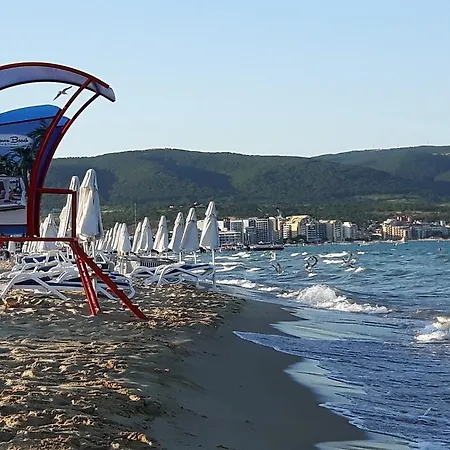 Sunny Avalon דירה